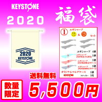 【2020福袋】(1)キーストン(keystone)エギシャープ(egisharp)V0、V0+セット