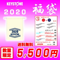 【2020福袋】(3)キーストン(keystone)エギシャープ(egisharp)V1、V2セット