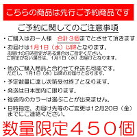【2020福袋】(6)キーストンモンローエギ2.5号夜焚きチューンセット
