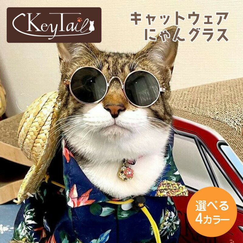 ＼20日限定！5％OFFクーポン！／　サングラス ペット用 猫 子犬用 猫用 メガネ 猫用 サングラス ペット用サングラス ペットグッズ ねこ ネコ アクセサリー 撮影 人気 おしゃれ プレゼント ギフト youtube インスタ映え ポストカード 年賀状