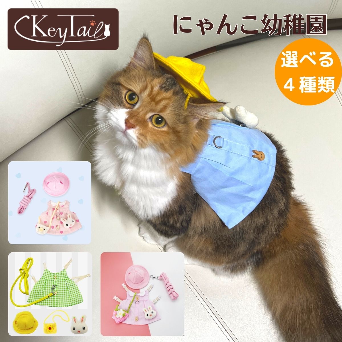 ＼お得な市場の日24時間限定！ポイント5倍！／ 猫 ハ