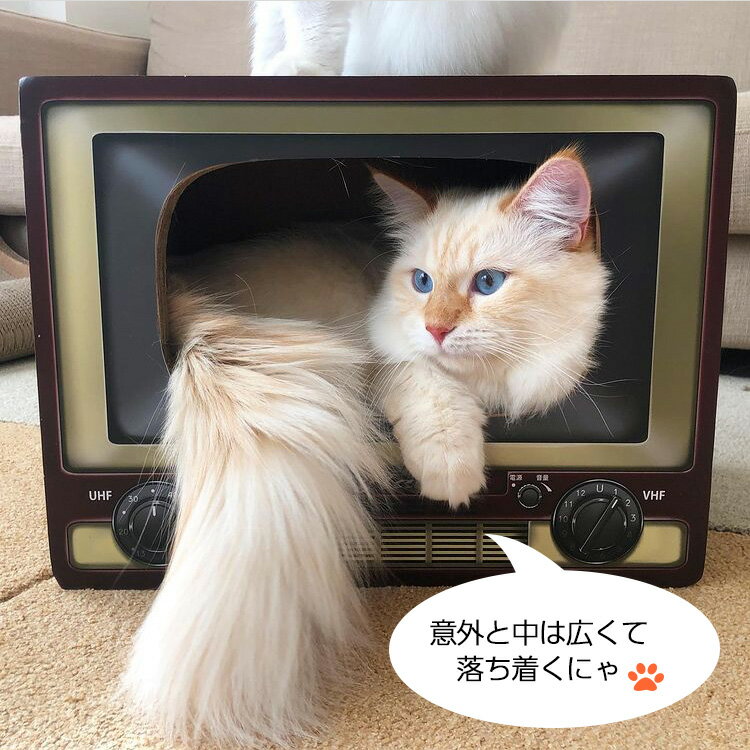 段ボール ベッド テレビハウス (テレビ型 レッド＆ブラン)