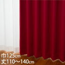 KEYUCA ケユカ カーテン ドレープ レッド 形状記憶 遮光1級 ウォッシャブル 防炎 遮熱 巾125×丈110〜140cm DP627