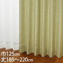 KEYUCA ケユカ カーテン ドレープ グリーン 形状記憶 ウォッシャブル 防炎 巾125×丈185〜220cm TDOS7568
