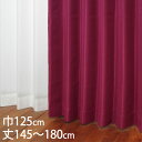 KEYUCA ケユカ カーテン ドレープ パープル 形状記憶 遮光2級 ウォッシャブル 防炎 巾125×丈145〜180cm TDOS7606