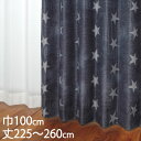 KEYUCA ケユカ カーテン ドレープ ネイビー 形状記憶 遮光2級 ウォッシャブル 巾100×丈225〜260cm TDOS8081[カーテン 遮光カーテン...