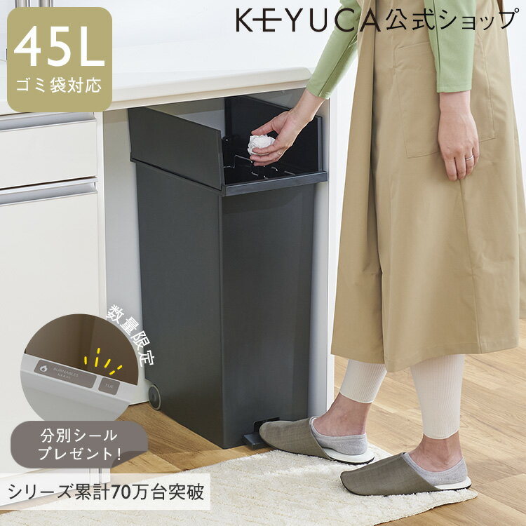 【KEYUCA公式店】KEYUCAダストボックス LL ブラック ゴミ箱 45L｜【WEB限定】数量限定 分別シールプレゼント[ゴミ箱 両開き ペダル式 キャスター付き 観音開き ダストボックス キッチン スリム ふた付き ごみ箱 フタ付き 蓋 黒 45リットルゴミ袋対応 省スペース 足踏み]