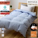 【KEYUCA公式店】ケユカ 【WEB限定】静電気起きにくい、合掛け羽毛布団 ダウン85% 0.6kg [ふとん リネン生地 軽い ダニ防止 薄手 持ち運び 快...
