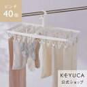 【KEYUCA公式店】ケユカ AST 立ててしまえるピンチハンガー 40個付き[洗濯用品 物干し 洗濯ばさみ 洗濯物干し 無地 シンプル おしゃれ ギフト ピン...