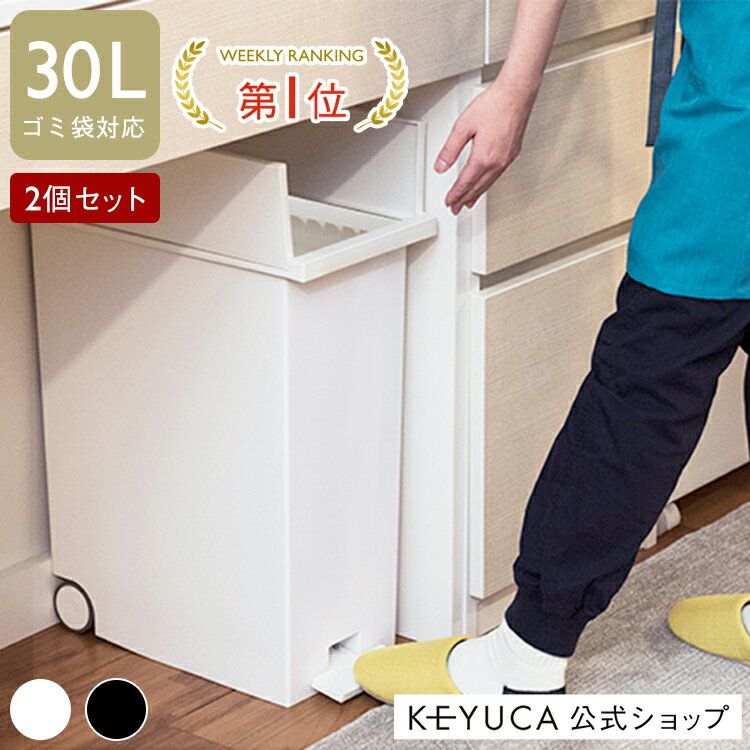 【KEYUCA公式店】ケユカ【WEB限定価格 送料無料】arrots ダストボックス L ゴミ箱 27L 2個セット ホワイト ブラック おしゃれ キッチン シンプル ペダル スリム 観音開き 省スペース 分別 キャスター付き 足踏み 蓋つき カウンター下 両開き 袋止め 分別ごみ箱 隙間収納