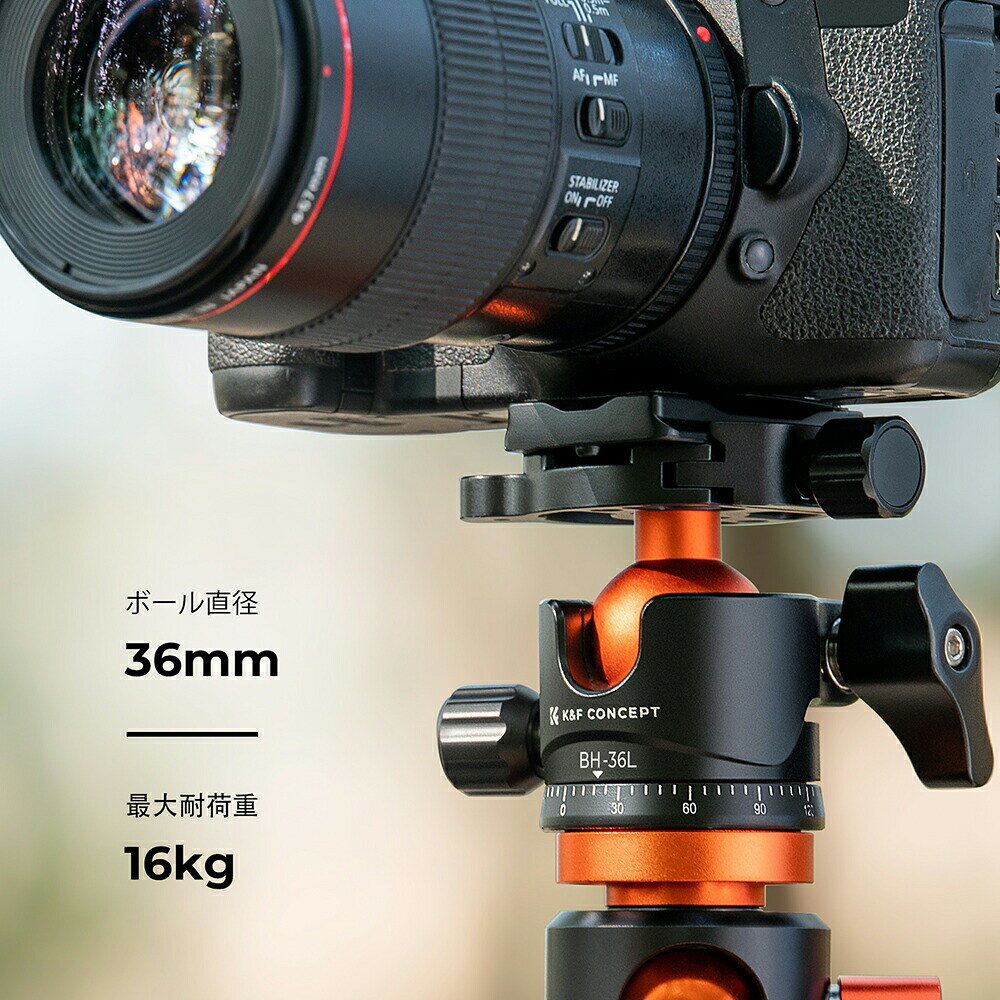 最大10%OFFxP2倍!! 自由雲台 36mmボールヘッド 耐荷重16kg アルミ製 360°回転 1/4...