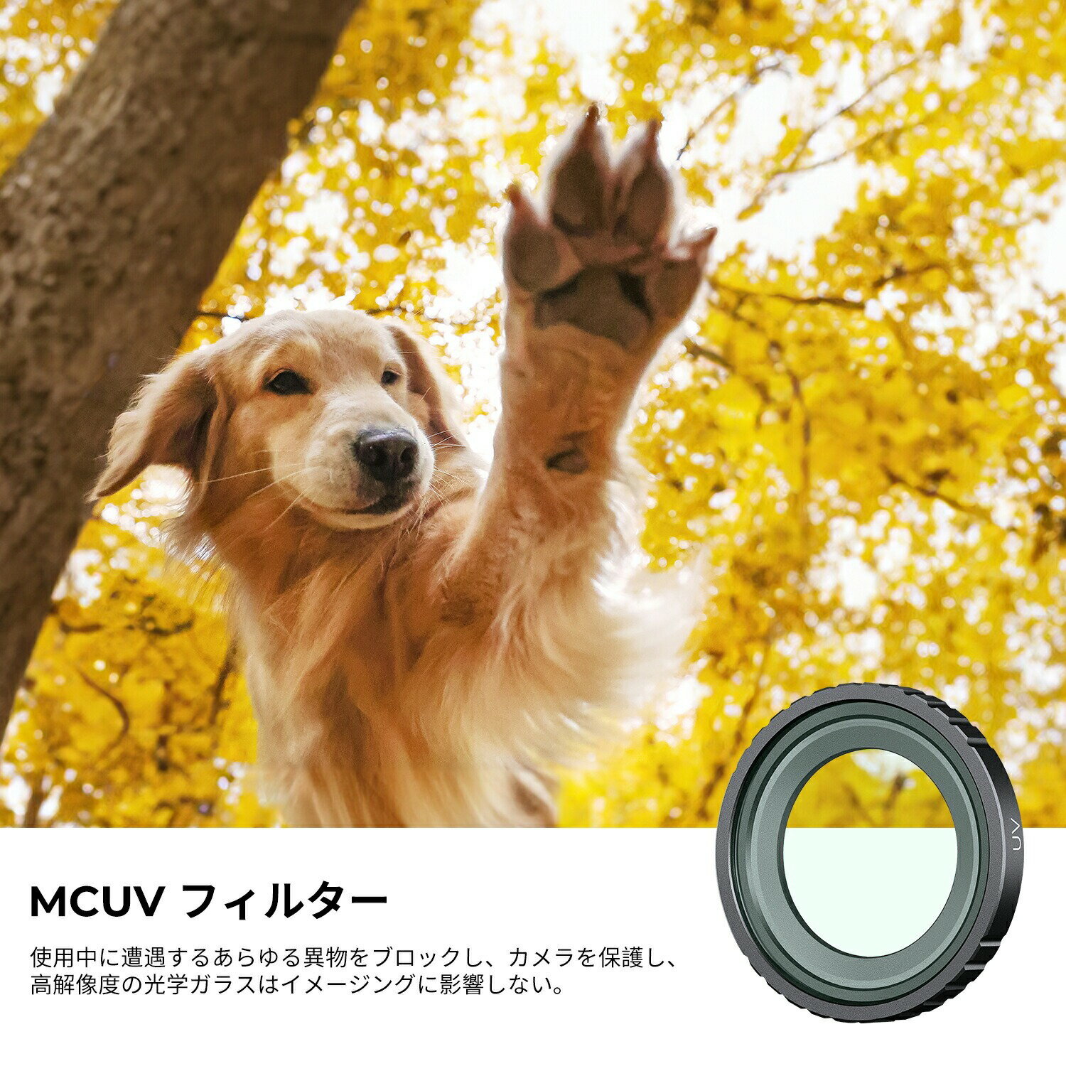 Max10%OFF配布中!! 保護フィルター Insta360 Go3S 用 UV フィルターレンズフィルター 回転取り付け 装着便利 レンズ保護 紫外線カット AGC光学ガラス 高透過率 28層ナノコーティング プロテクトフィルター 防水防汚