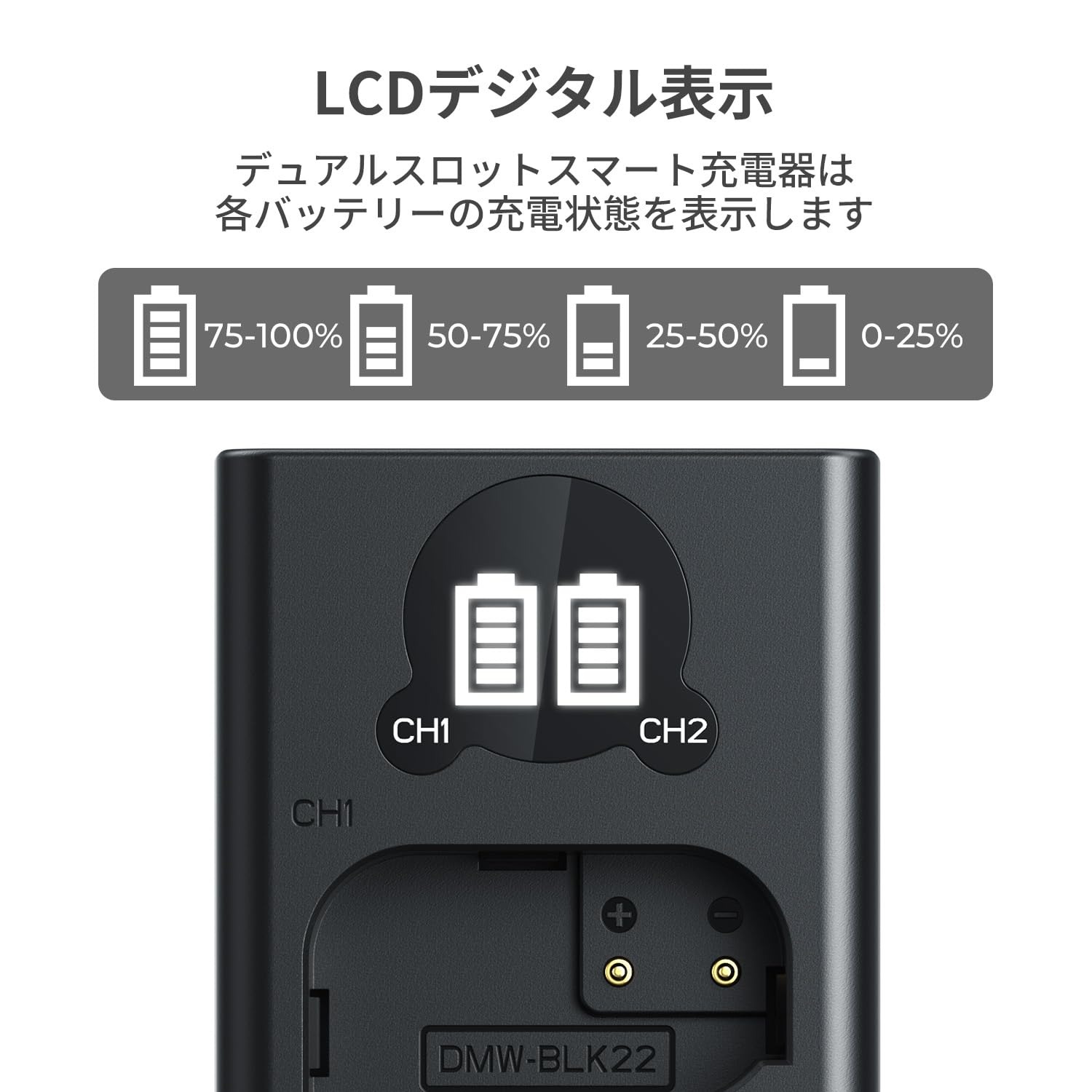 セール延長★10%offxP5倍！ DMW-BLK22 充電器 カメラバッテリー用 電池残量表示 パ...