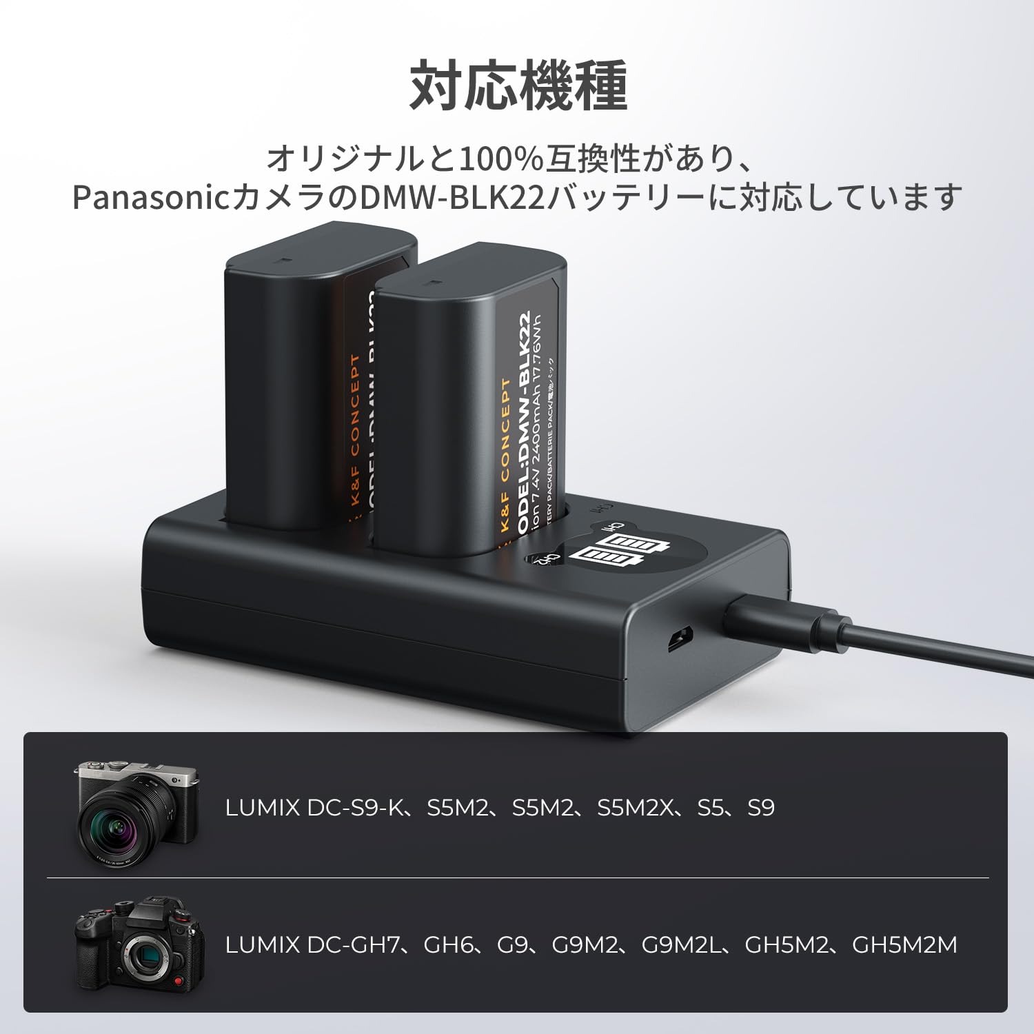 セール延長★10%offxP5倍！ DMW-BLK22 充電器 カメラバッテリー用 電池残量表示 パ...