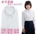 スクールシャツ 女子 長袖 2枚セット 送料無料 ノーアイロン 155/160/165/170 制服 カッターシャツ 形態安定 速乾 レディース ワイシャ..