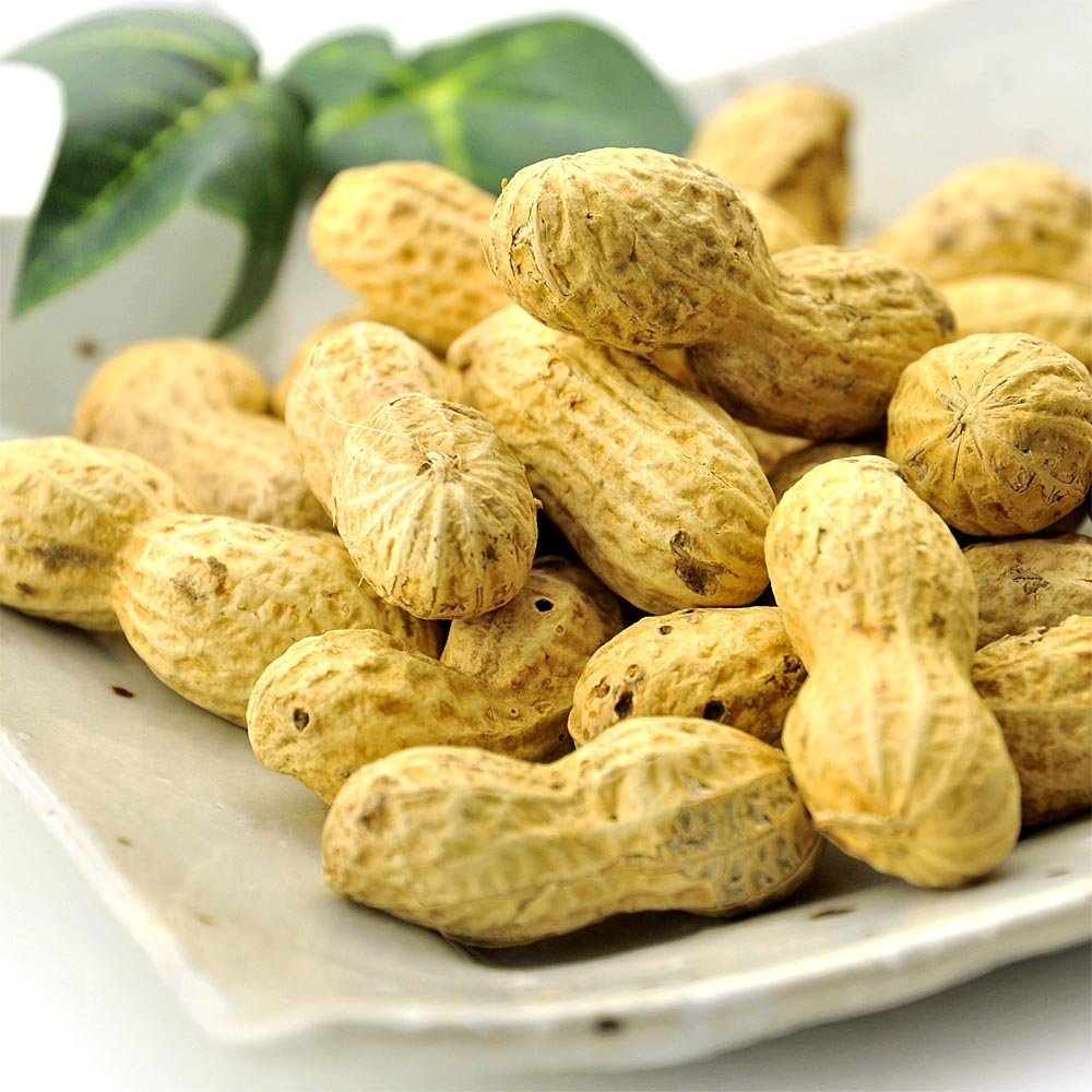 千葉県産 ロースト 落花生 760g （2×380g） らっかせい 送料無料のサムネイル