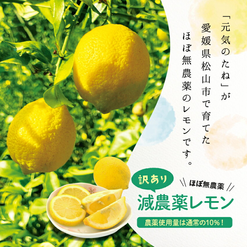 国産レモン ほぼ 無農薬 レモン 5kg 送料無料 国産 れもん 愛媛県産 減農薬 栽培 自家栽培 訳あり 元気のたね