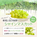 産地直送 シャインマスカット と ピオーネ 果物 詰合せ 1kg 送料無料 フルーツ ぶどう 山梨県より朝収穫したてをお届け