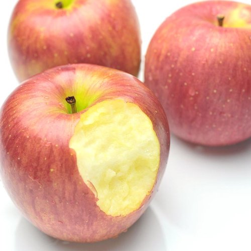 りんご お徳用 訳あり リンゴ バラ詰め 大きさ無選別 10kg 旬の産地より