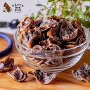 砂肝 犬 おやつ 国産 無添加 砂ぎも ズリ 鶏砂肝 ジャーキー 500g 送料無料 犬のおやつ おつまみ お菓子 無塩 いぬ ドックフード グッズ ペット ご...
