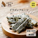 犬 おやつ 無添加 ドラゴンフルーツ 砂糖不使用 送料無料 犬のおやつ 内容量をご選択ください 元気のたね