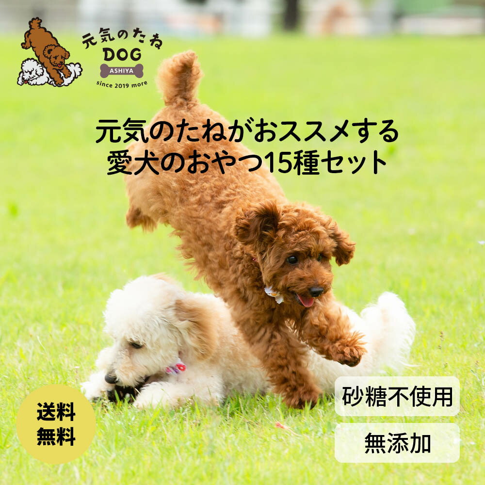 犬 おやつ 無添加 お試し 詰め合わせ 全15種類 1回限り 送料無料 ジャーキー 元気のたね