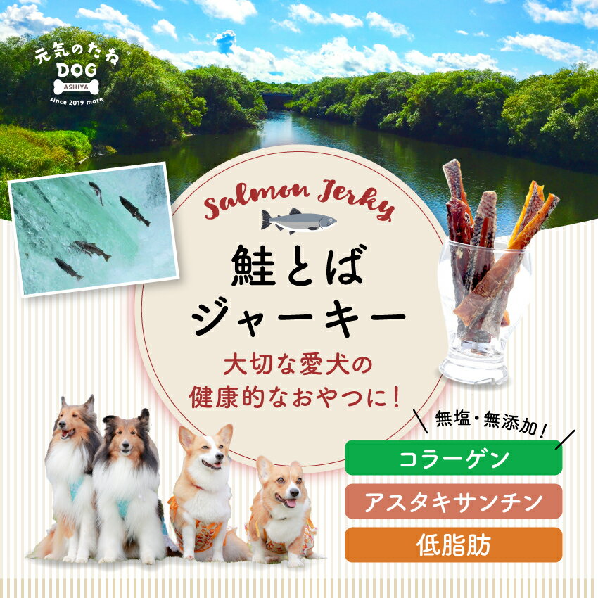 国産 無添加 犬 猫 おやつ 魚 ジャーキー 鮭 鮭とば 小分け お試し 40g 送料無料 元気のたね dog サーモン プレゼント ドックフード ドッグフード 犬用 猫用 ペット