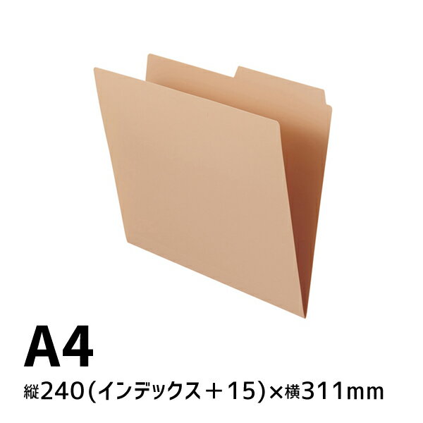 リヒトラブ Roomy 個別フォルダー A4 ピンク F-292-12