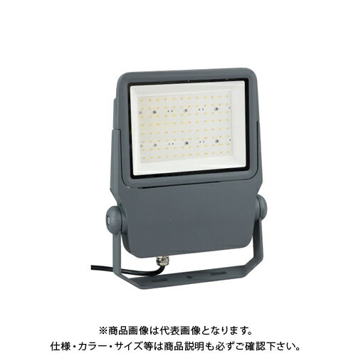 デンサン DENSAN LEDプロジェクションライト(投照器・散光型) PDS-C01-40WL