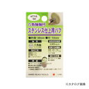 三共 HTY6-50 6角軸付バフ ステン仕上げ
