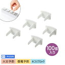 サンワサプライ SANWA コンセント安全キャップ 100個入 2極コンセント用カバー ホワイト TAP-CAP2P100