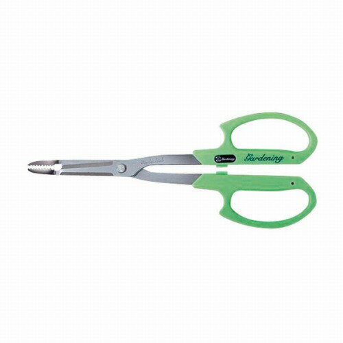 サボテン 虫とり鋏 ステンレス #1287