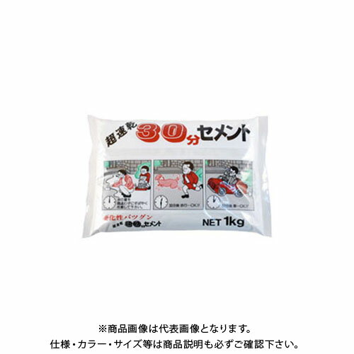 家庭化学工業 30分セメント 1KG ホワイト