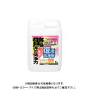 カンペハピオ 復活洗浄剤 エフロ用 2L 00017660061020