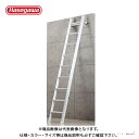 【送料別途】【直送品】ハセガワ 長谷川工業 ロフト昇降用はしご LML1.0-26 16915