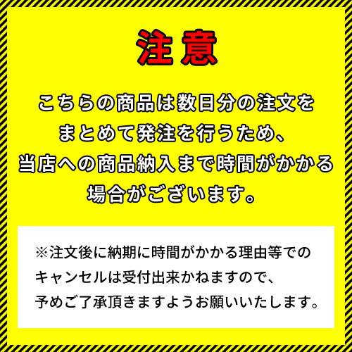 ヤマヒロ ワンダーカラービス SUS410 ステンレス モドトラス サンプレーンパッキン付 4.5×25 (500本×10箱入) WCS25P 2