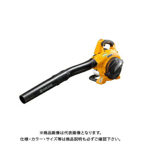 kyo-4355080.jpg kyo-4355080.jpg