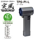 日動工業 エアダスターブロワー 突風GUN イーグル TPG-PI-L