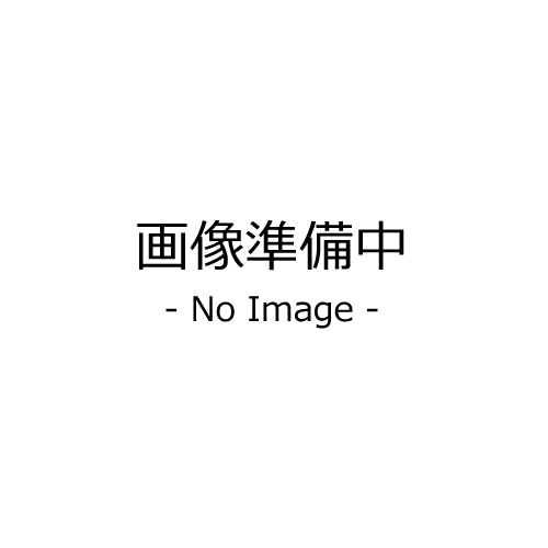 【送料別途】【直送品】サカエ SAKAE