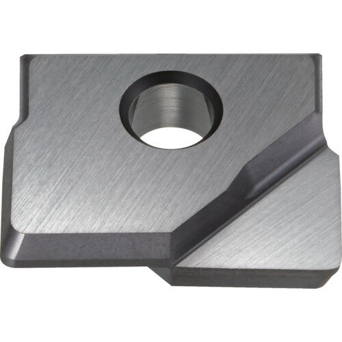 ダイジェット ミラーラジアス用チップ DH103 2個 RNM-300-R03:DH103