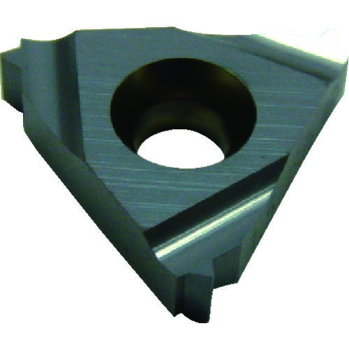 イスカル ねじ切りチップ IR/L-ISO IC228 5個 08IR 1.25 ISO:IC228