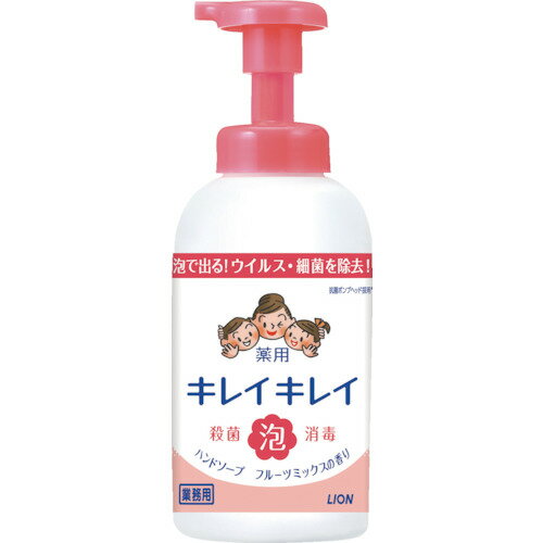 ライオン キレイキレイ薬用泡ハンドソープ フルーツミックスの香り 550ml BPPGHJLF ライオン キレイキレイ薬用泡ハンドソープ フルーツミックスの香り 550ml BPPGHJLF