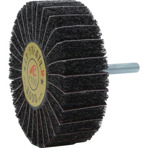 AC スコーライトホイルM 軸径6mm #100 外径80×幅25×軸長40 5個 SW8025-M-100