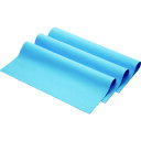 バイリーン お掃除用クロス#ブルー (10枚入) WC004(3)