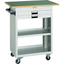 【送料別途】【直送品】TRUSCO スチール製ワゴン(溶接一体構造) ツールワゴン 600×400×H880 浅型2引出 天板付 ヤンググリーン NTS-620T-YG