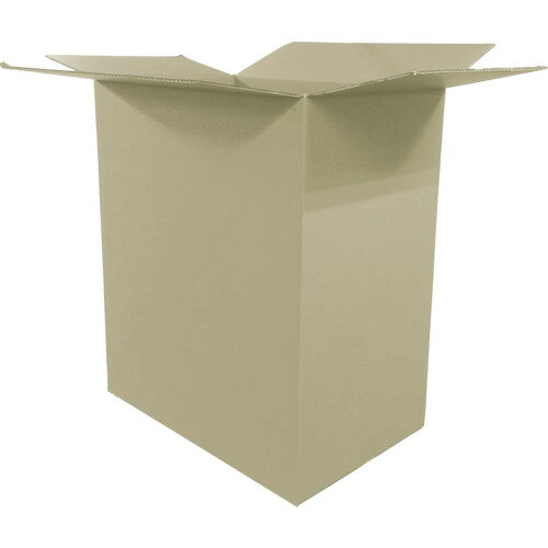 【送料別途】【直送品】IRIS 573123 ダンボール 565×370×665 10枚 M-DB-160B