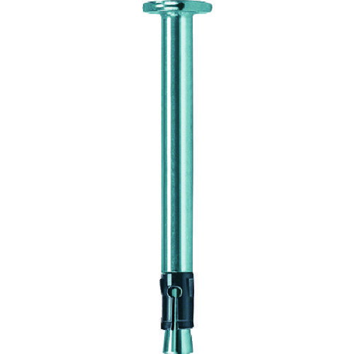 フィッシャー ネイルアンカー FNA2 6X25/5 (100本入) 44121