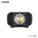 ^W}c[ Tajima LED[NCgR151 LE-R151