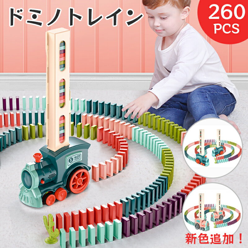 【レビュー特典あり】260PCS ドミノ