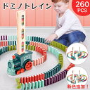 【レビュー特典あり】260PCS ドミノ